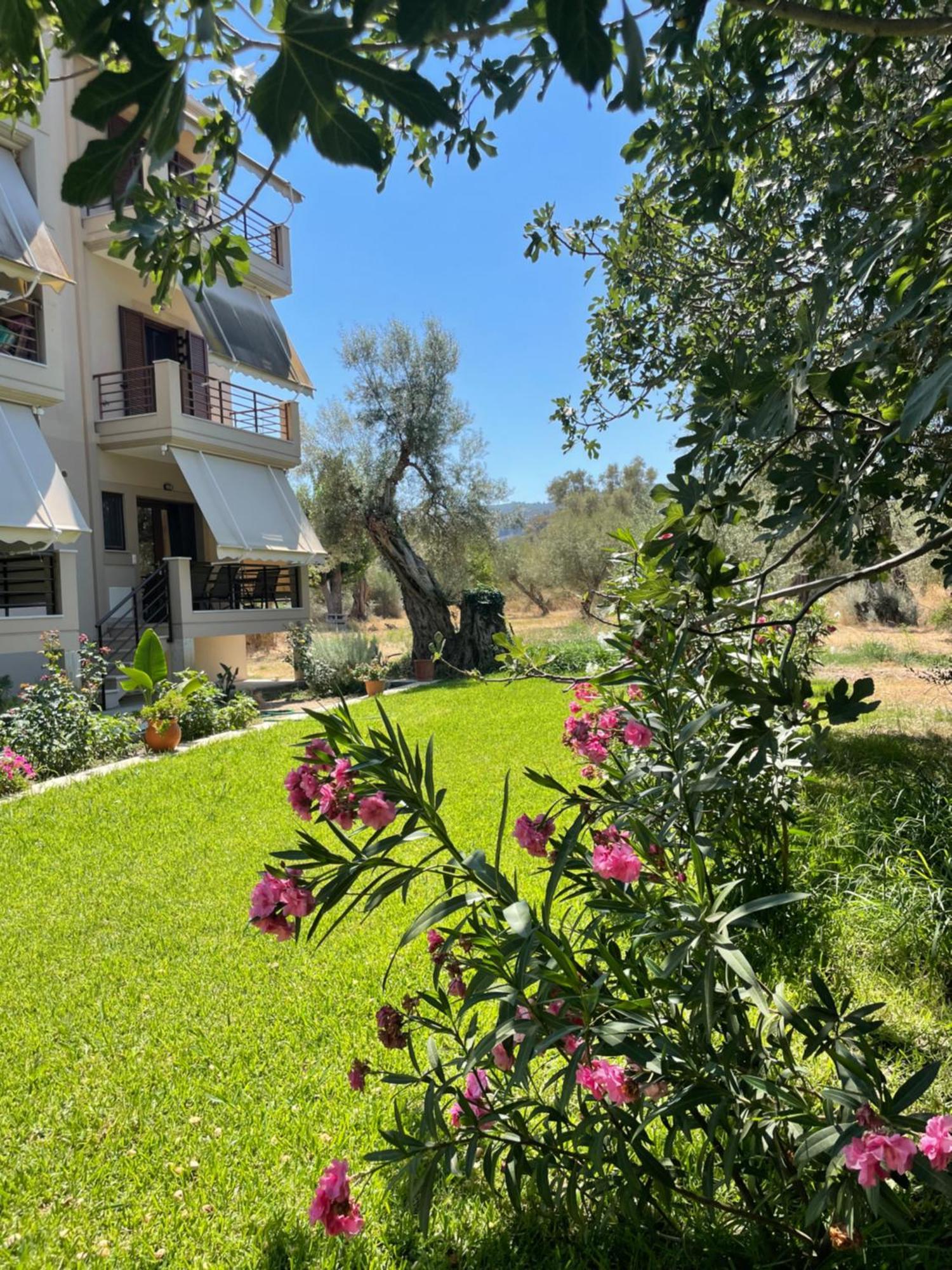 Asanis 1 Lefkada City Exterior foto
